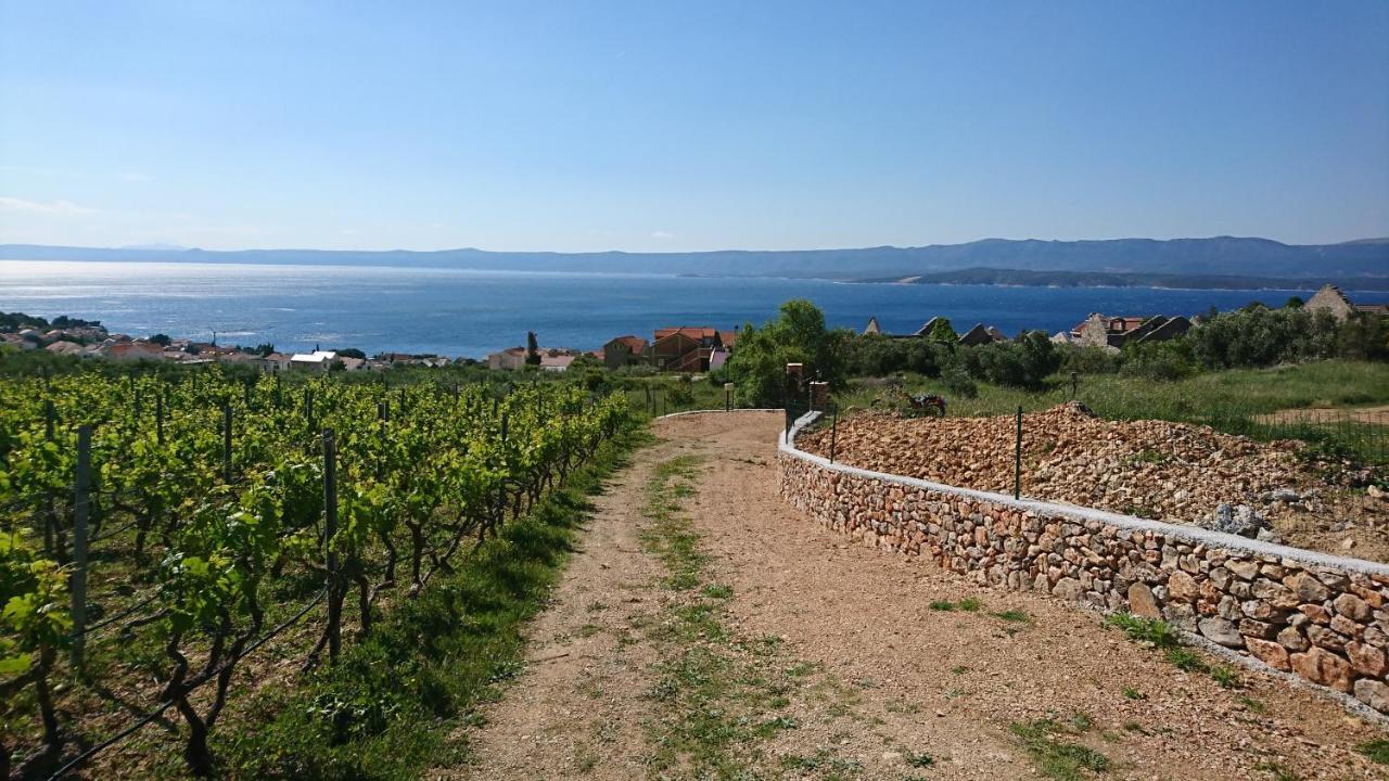 Holiday Home Vineyard House Bol Ngoại thất bức ảnh